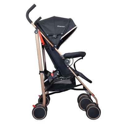 Imagen 2 del producto Coche Paragua Vaunut Gold