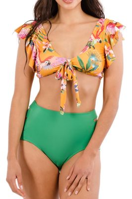 Bikini Tiro Alto Cut Out Colores