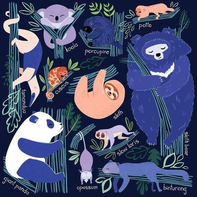 Imagen 1 del producto Puzzle 500Pcs Osos Perezosos Mudpuppy