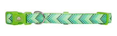 Collar Perro Puntitos L Verde Mascan