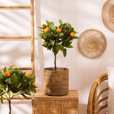 Imagen 2 del producto Set 4 Canastos Emmet de Caña Artesanal (S a XL) Atmosphera