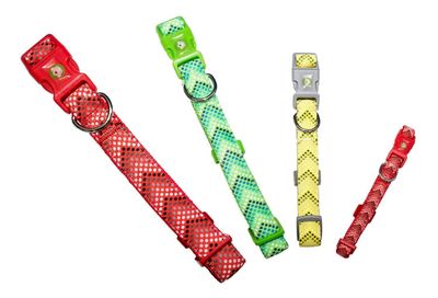 Imagen 2 del producto Collar Perro Puntitos S Rojo Mascan