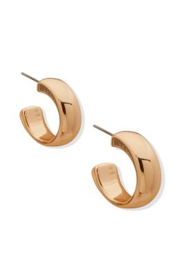 Imagen 2 del producto Aros Anne Klein Dorado Mujer 01G00761