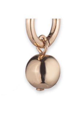 Imagen 2 del producto Aros Lauren Ralph Lauren 14G00971 Dorado