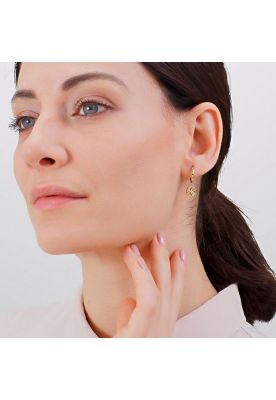 Imagen 2 del producto Aro Solitario Brosway Chakra Dorado BHKE002