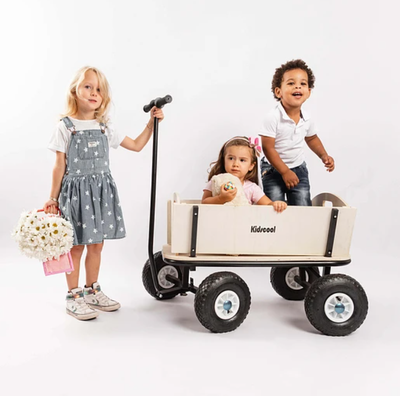 Imagen 2 del producto WAGON MADERA BLANCO