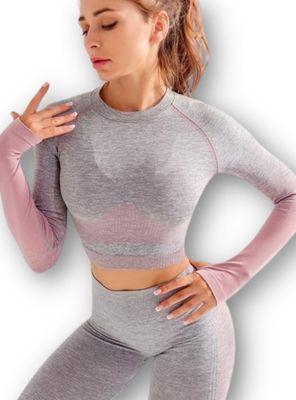 Conjunto Fitness Rosado Gimnasio 2 Piezas Manga Larga Sin Costuras