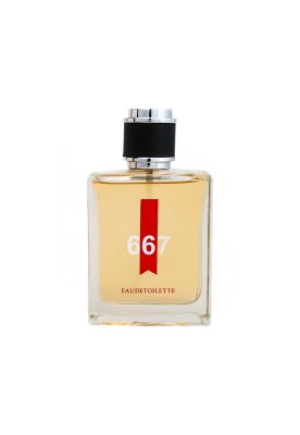 Imagen 2 del producto Euroluxe 667 Hombre 100 ml