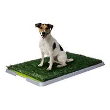 Baño Grande Sanitario Reutilizable Perros Y Mascotas