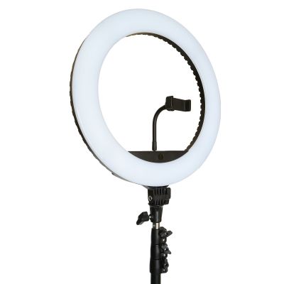 Imagen 2 del producto Aro Ring Luz Led Selfie 26cm Flash Trípode 2,10mts Tiktok
