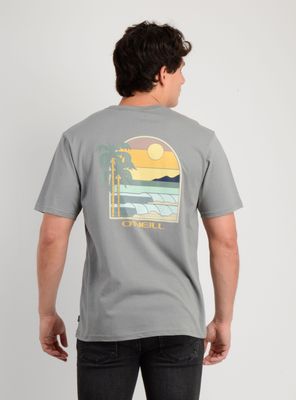 Imagen 2 del producto POLERA MANGA CORTA GLASSY DAYS GRIS