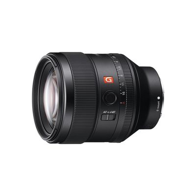 Imagen 1 del producto Lente Montura E SEL85F14GM