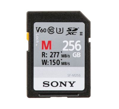 Tarjeta de memoria SF-M256