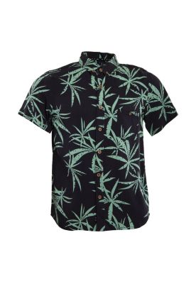 Camisa Kids Black Palm Green