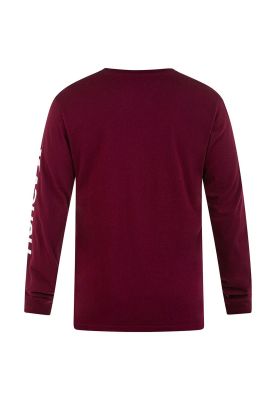 Imagen 2 del producto Polera Manga Larga Eeveryday Washed One And Only Dark Beetroo Hurley
