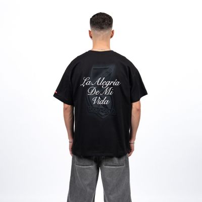 Imagen 2 del producto Polera Colo-Colo Urbano ""La Alegría de mi Vida"" Negro