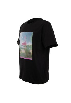 Imagen 2 del producto Polera Manga Corta Flamingo Black