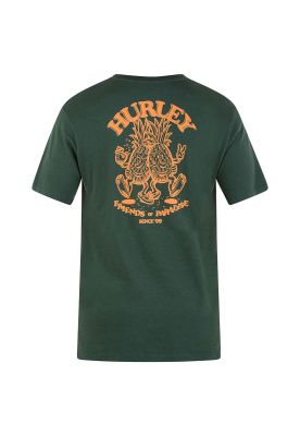 Imagen 2 del producto Polera Everyday Washed Frnd Ga Jade Hurley