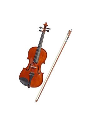 Imagen 2 del producto Viola Freeman Classic 16 pulgadas FRVA50 con Case y Arco