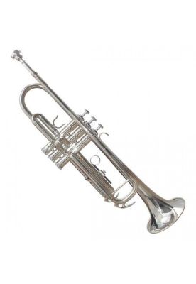 Imagen 1 del producto Trompeta Baldassare 6418S silver plata