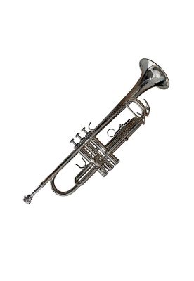 Imagen 2 del producto Trompeta Baldassare 6418S silver plata