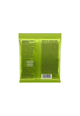 Imagen 2 del producto Set Cuerdas guitarra eléctrica 010 Ernie Ball 2221 Regular