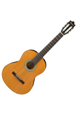 Imagen 2 del producto Guitarra acústica Ibanez GA3 color Ambar