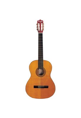 Imagen 1 del producto Guitarra clásica Vizcaya CASTILLA color natural con funda