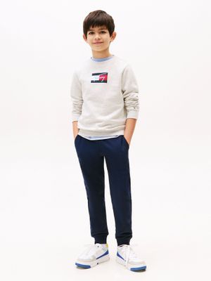 Jogger De Corte Regular Azul Tommy Hilfiger