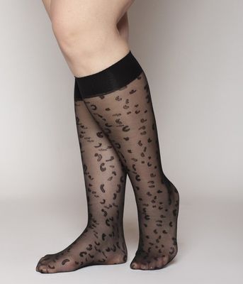 Imagen 2 del producto Minimedia Animal Lasst