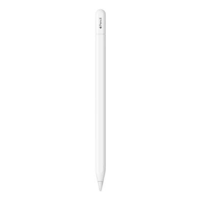 Apple Pencil Usb-C Lápices (Usb-C)