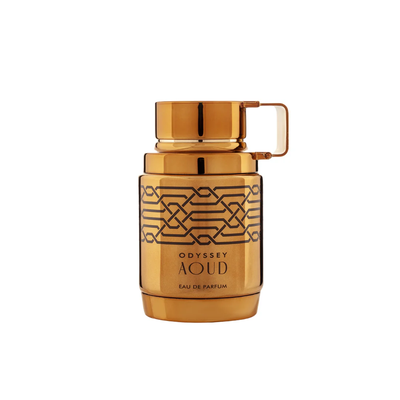Imagen 2 del producto Perfume Odyssey Aoud Armad EDP Hombre 100 ml