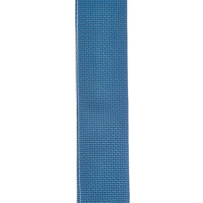 Imagen 2 del producto Correa 50mm BLU CA PWS102 Daddario