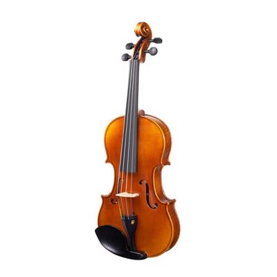 Imagen 2 del producto Violin Livorno Antique Solid 4/4 Liv-40
