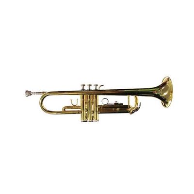 Trompeta Gold Allegro All6416L
