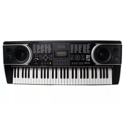 Teclado de 61 Teclas Ton-310 Tonic