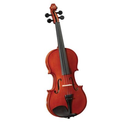 Imagen 1 del producto Violín Cervini 3/4 HV-100