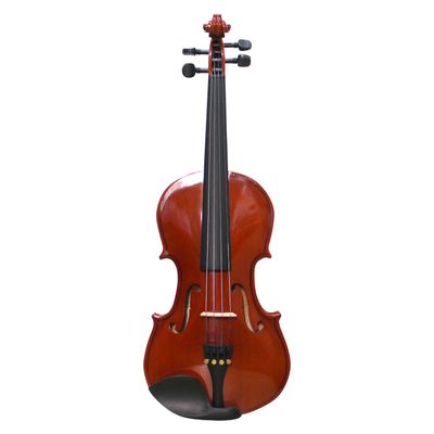 Imagen 2 del producto Violin Livorno Solid Ebony 4/4 Liv-50