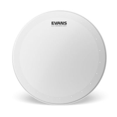 Parche 14¨ GEN DRY Evans