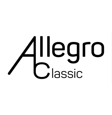 Imagen 2 del producto Tamborin Ajustable 20 Cms All812