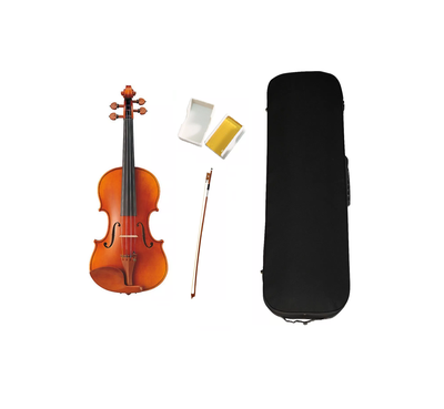 Imagen 1 del producto Violin Livorno Professional Mv100 4/4