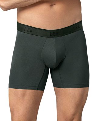 Leo Boxer Masculino Largo 033300N Gris Elástico Verde