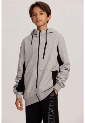 Imagen 2 del producto Polerón Niño Básico Print Gris Melange - lll