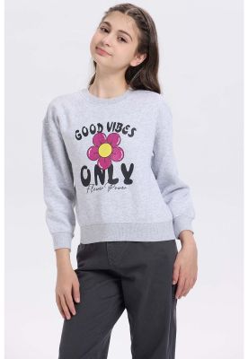 Imagen 2 del producto Polerón Niña Print Básico Gris Melange - ll