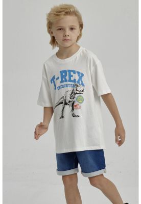 Imagen 2 del producto Polera Niño Print Posicional Crudo- ll