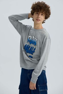 Imagen 2 del producto Polera Niño Print Gris Melange