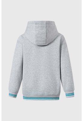 Imagen 2 del producto Polerón Niño College Canguro Gris