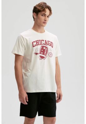 Imagen 2 del producto Polera Hombre Print Posicional Beige - lV