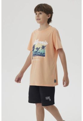 Imagen 2 del producto Polera Niño Print Posicional Coral