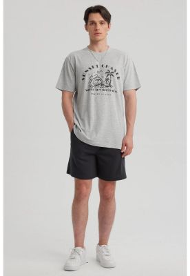 Imagen 2 del producto Polera Hombre Print Regular Fit Gris